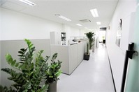 KJGloballink_Office View